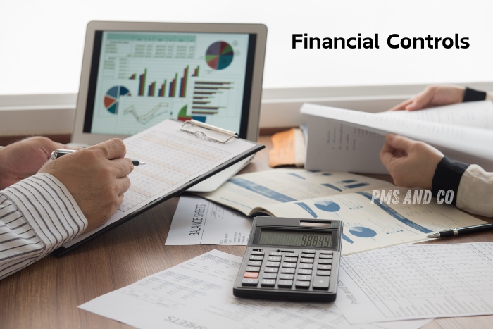 Financial controls managed by P.Meenachisundaram and Co. in Coimbatore - Providing expert auditing, accounting, and taxation services to ensure accurate financial management.